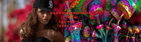 дмт Абаза