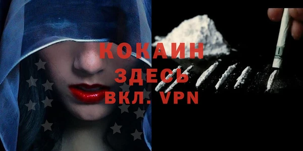 дурь Дмитриев