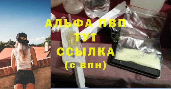 дмт Абаза