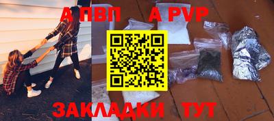 стафф Донской