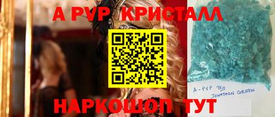 стафф Донской