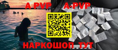 стафф Донской