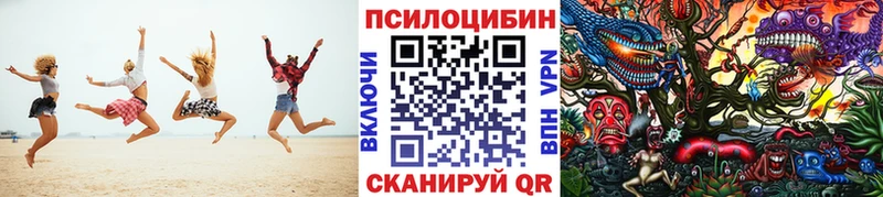 Псилоцибиновые грибы Psilocybine cubensis  Миллерово 
