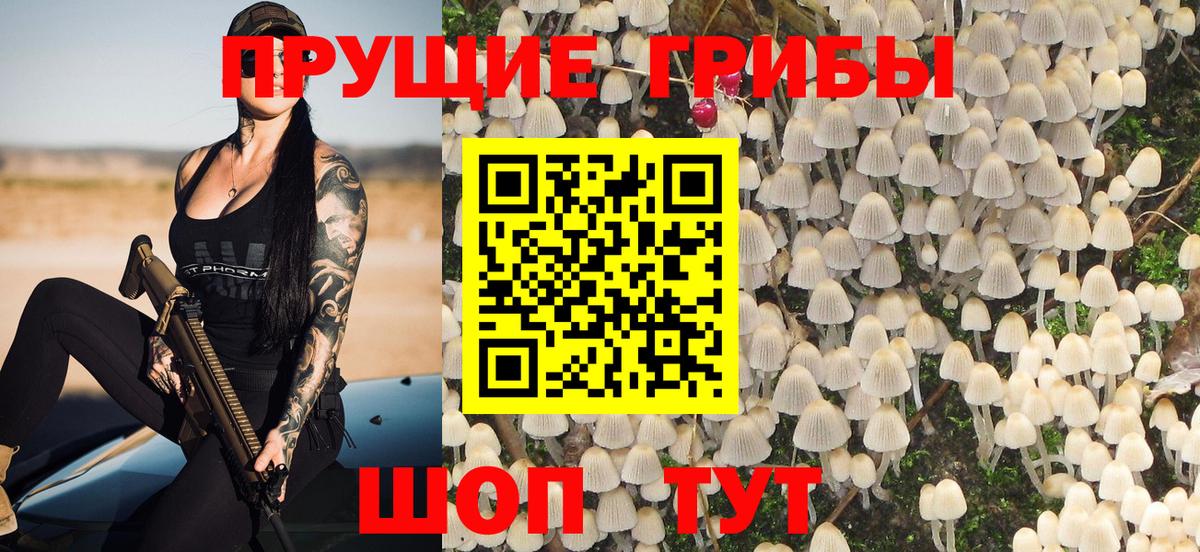 Псилоцибиновые грибы MAGIC MUSHROOMS  Вход с VPN  Миллерово  Галлюциногенные грибы мухоморы 