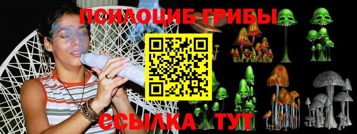 Галлюциногенные грибы Cubensis Миллерово